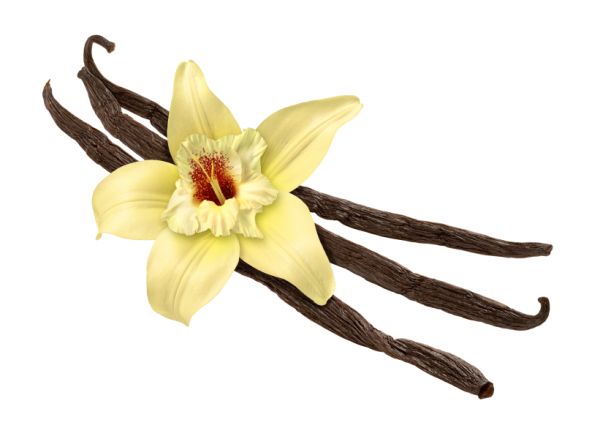 Vanille Aroma