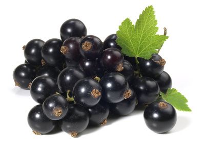 Cassis Aroma